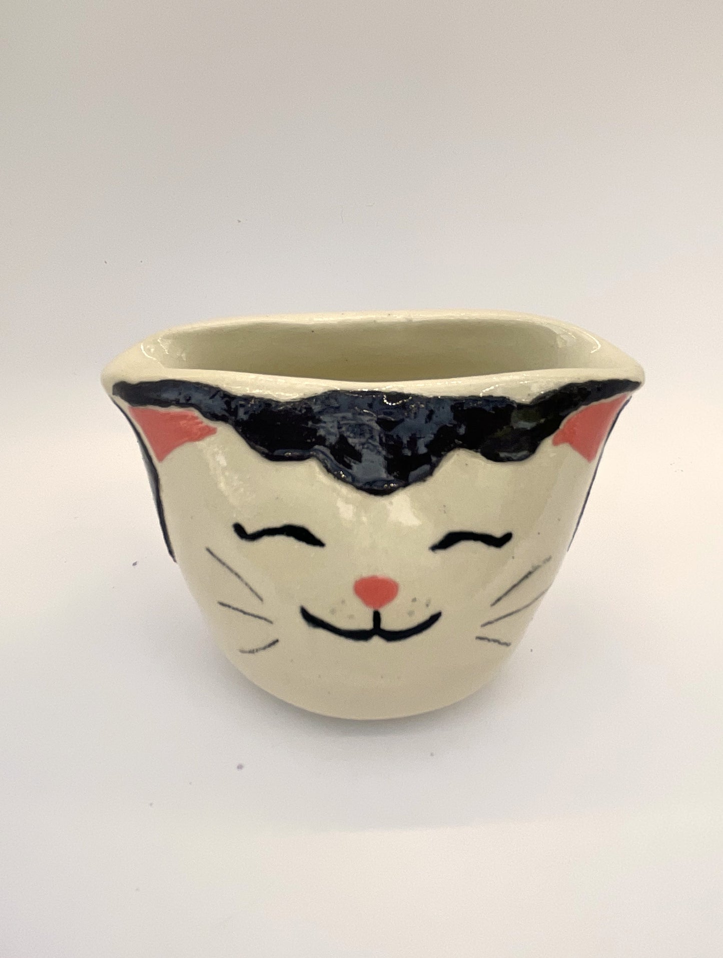 Cat Themed Pot