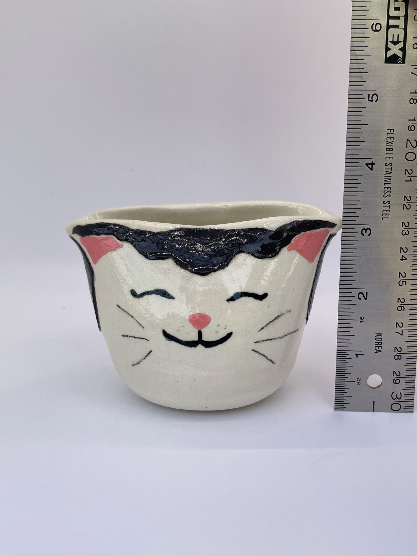 Cat Themed Pot