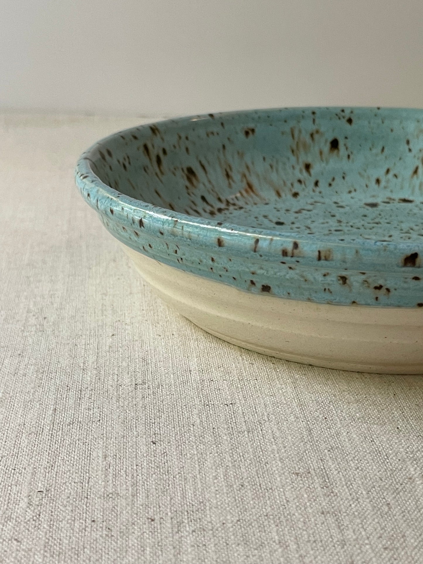 Cerulean Speckled Pasta Bowls, Set of 2